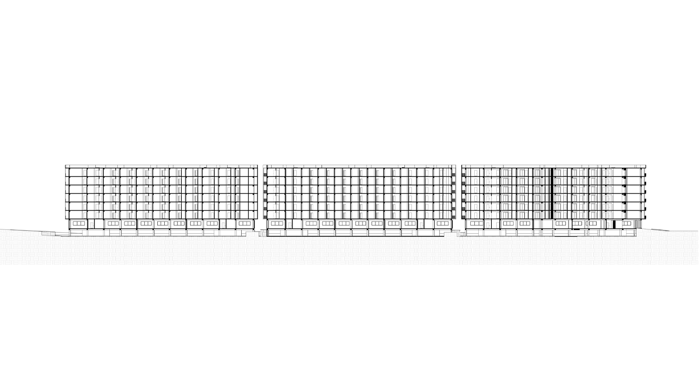 Section